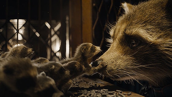 Baby Rocket from Guardians of the Galaxy Vol. 3